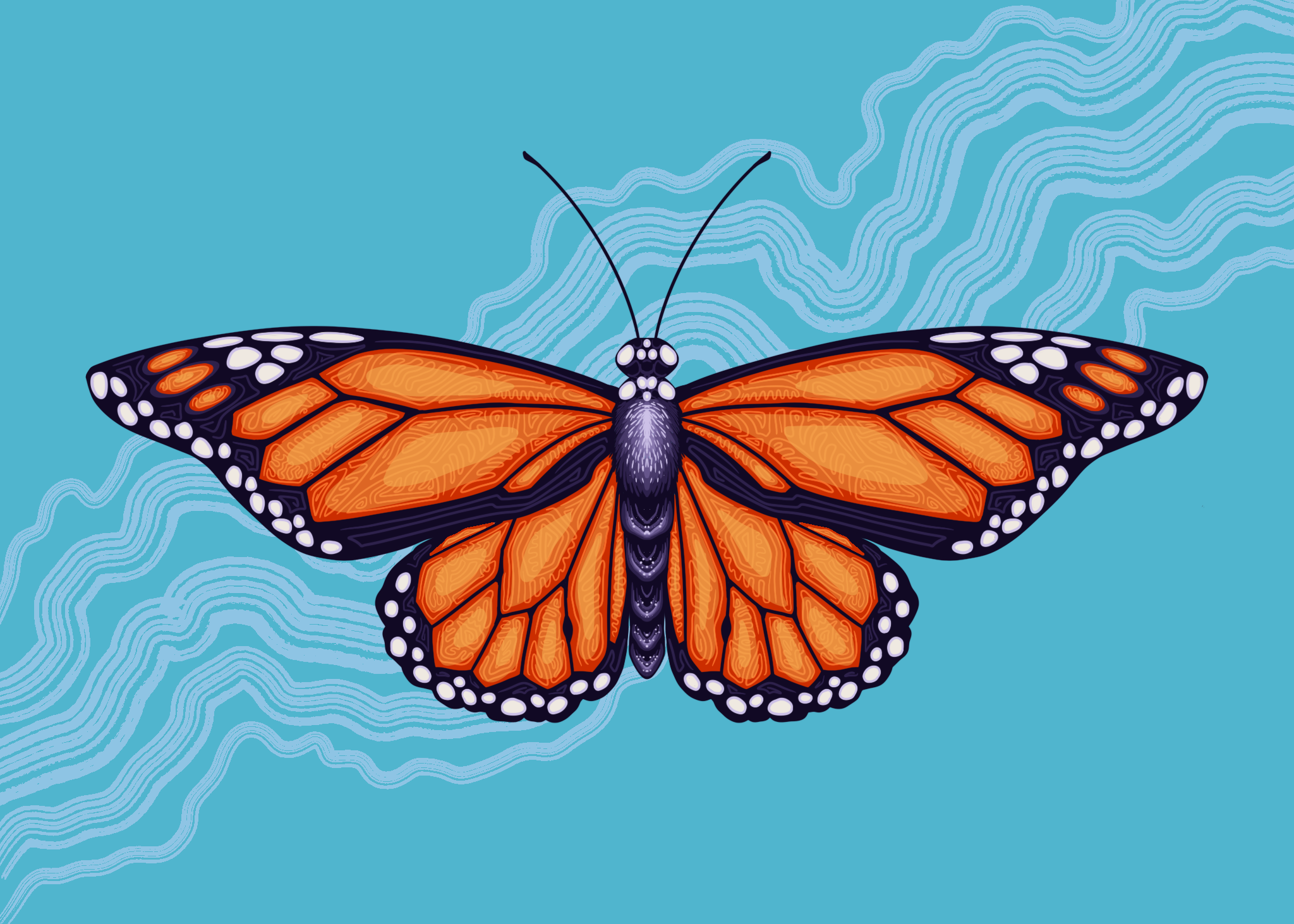 Monarch Butterfly Illustration